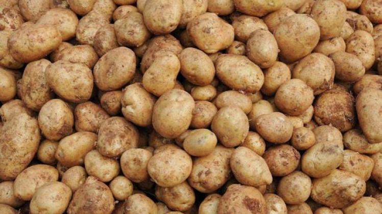 North Korean Potatoes